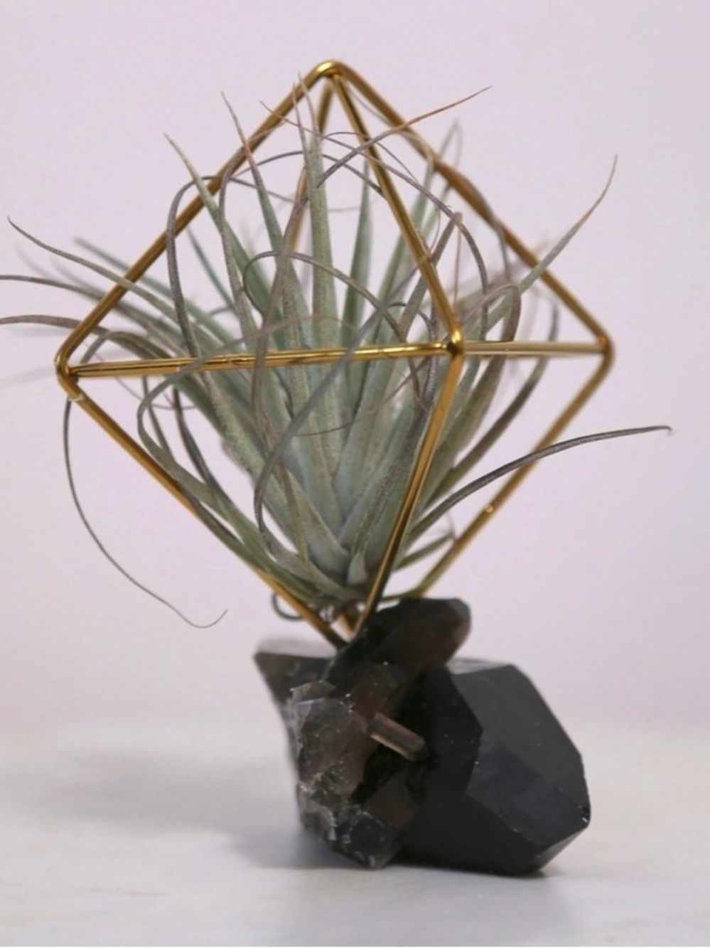 Air Plant & Smokey Quarts Crystal set of 5 Gold 2" Geometric